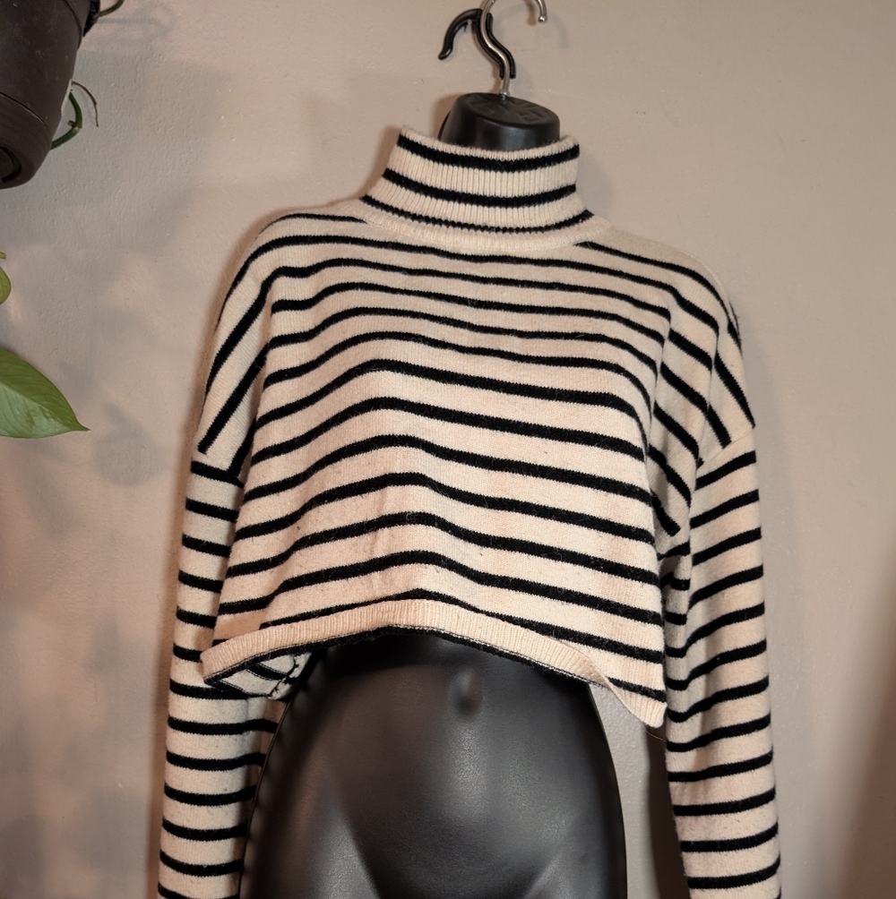 Striped Black and White Turtleneck Sweater